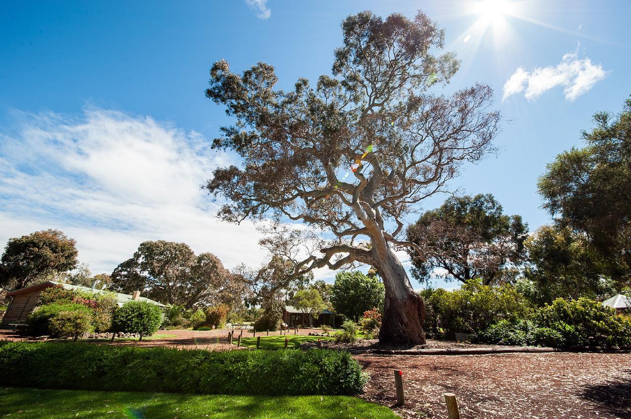 Southern Grampians Cottages دانكيلد المظهر الخارجي الصورة